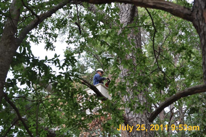 Entergy 116